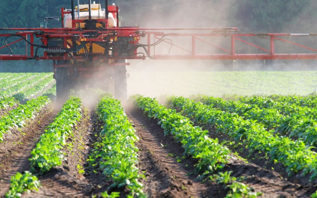 Impact des pesticides sur jardinage
