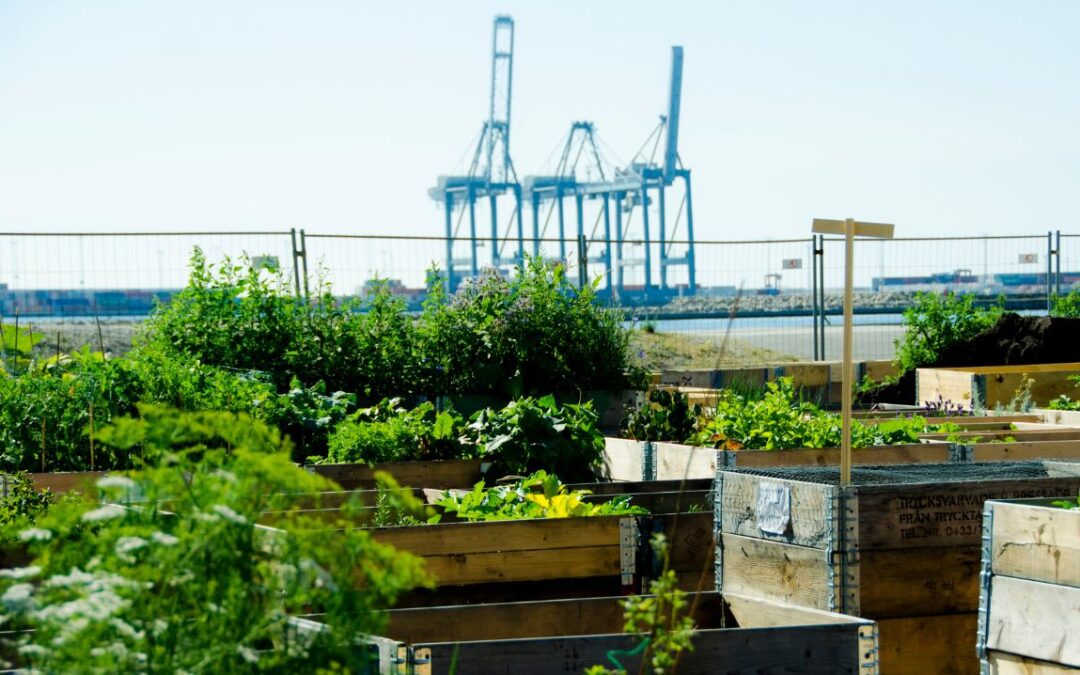 La tendance des jardins alimentaires urbains : cultiver sa propre nourriture en ville