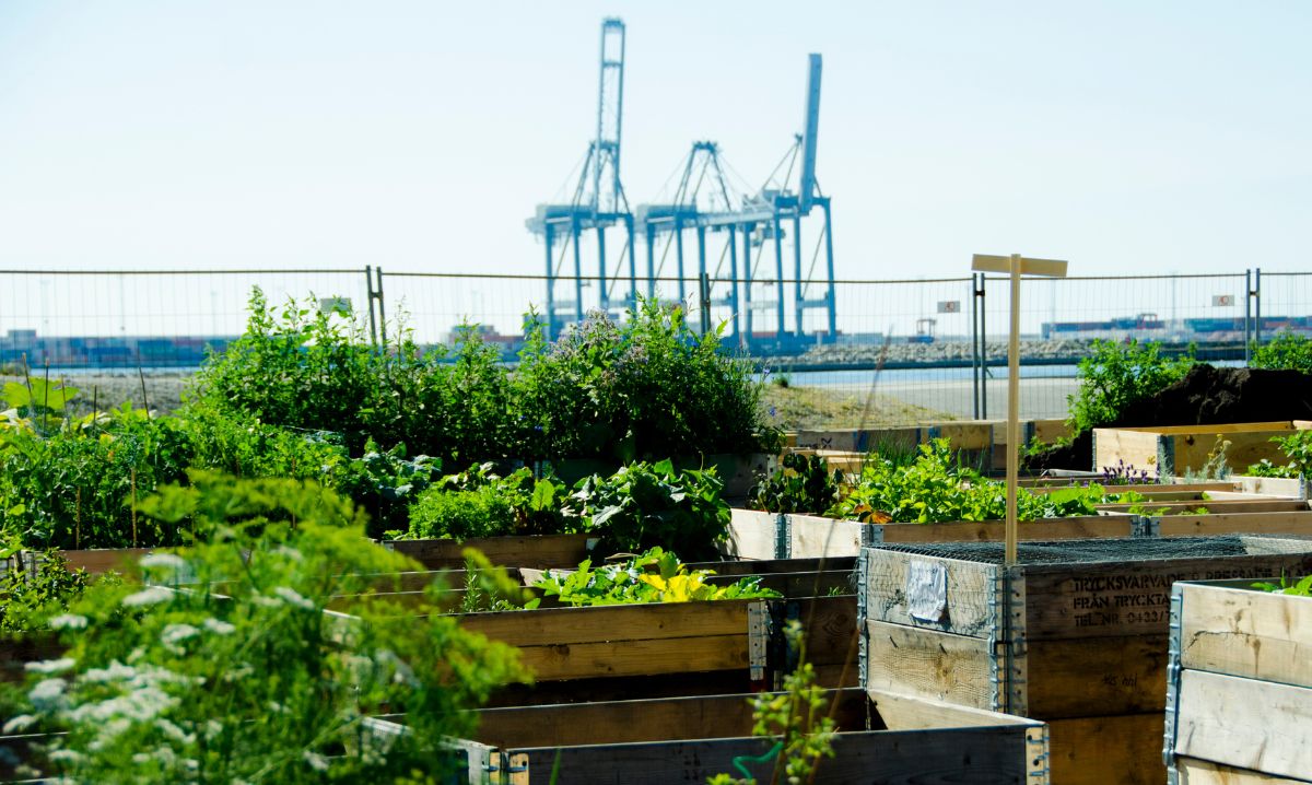 La Tendance Des Jardins Alimentaires Urbains D Corer Jardin