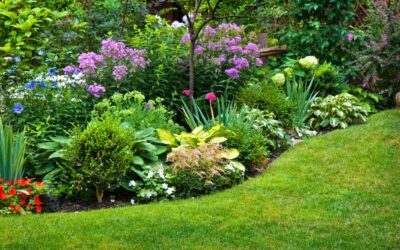 Les plantes faciles d’entretien pour un jardin toujours vert
