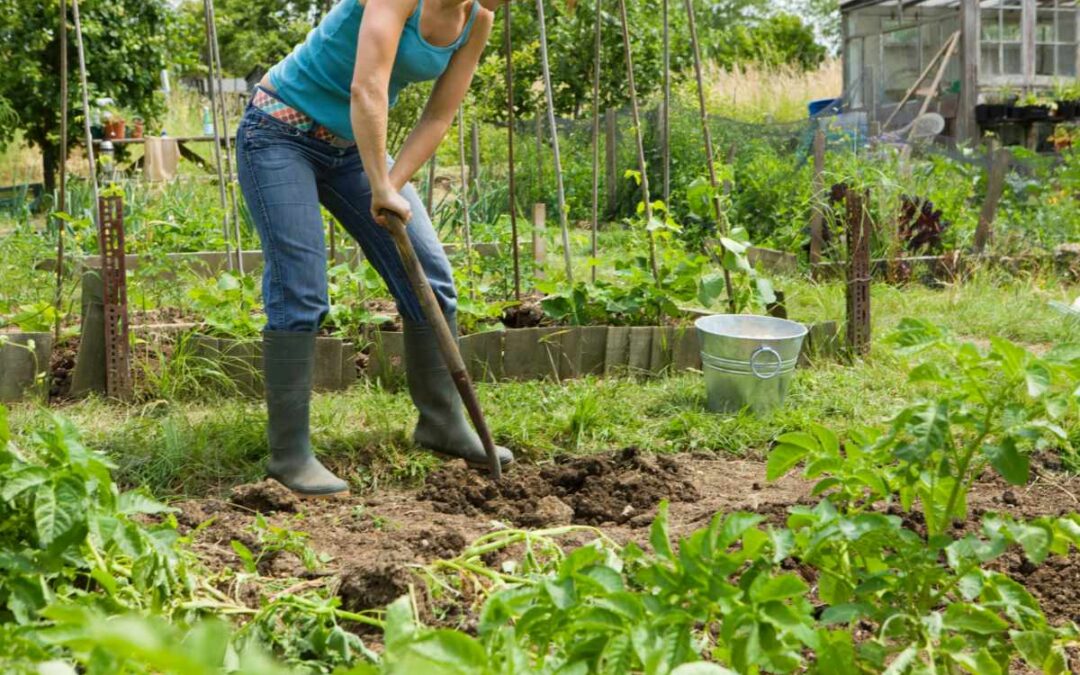Femme en jean et en, bottes qui utilise une bêche pour travailler dans son jardin